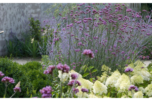 9 tips voor een makkelijke én duurzame tuin