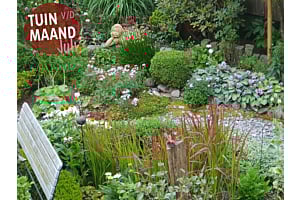 Tuin van de maand juli