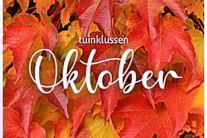 Tuinklussen van de maand | oktober