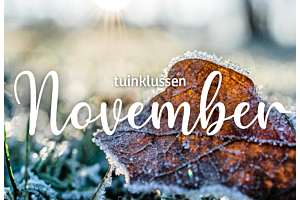 Tuinklussen van de maand | november