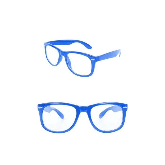 Blues brother bril blauw Blues brother bril blauw