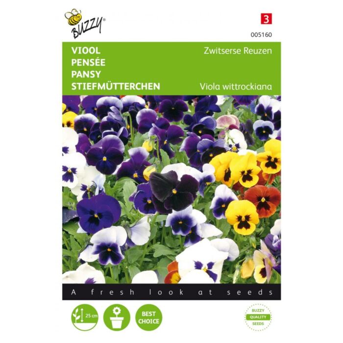Viola, Viool Zwitserse Reuzen gemengd - Buzzy Viola, Viool Zwitserse Reuzen gemengd - Buzzy