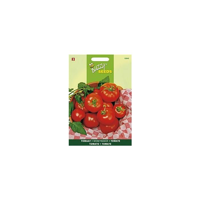 Tomaat Moneymaker - Buzzy Tomaat Moneymaker - Buzzy
