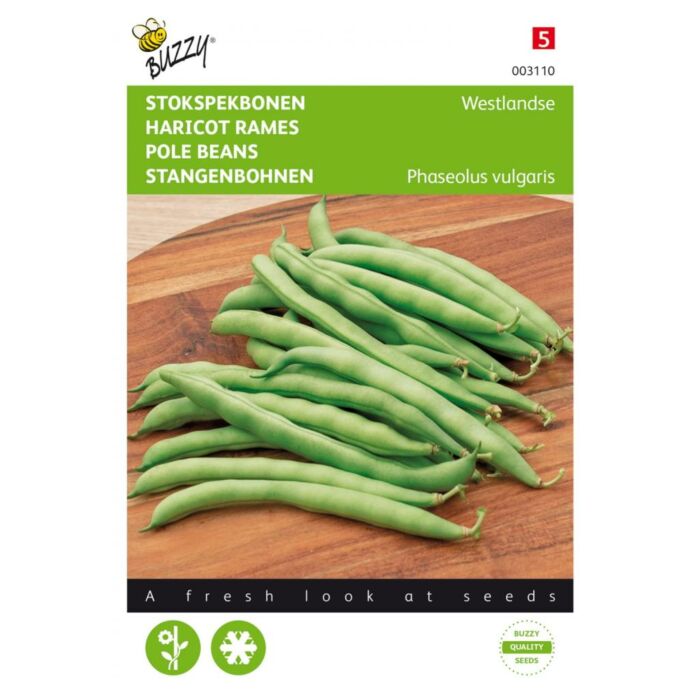 Stokslabonen Westlandse Dubbele, zonder draad - Buzzy Stokslabonen Westlandse Dubbele, zonder draad - Buzzy