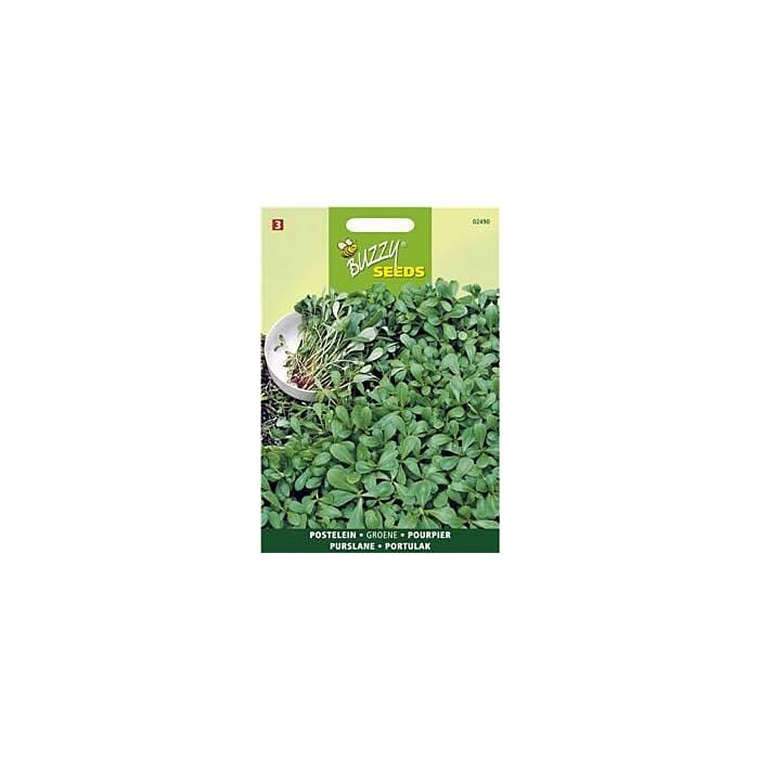 Postelein Groene - Buzzy