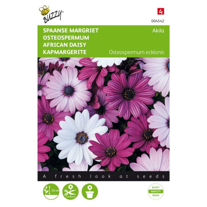 Osteospermum, Spaanse Margriet Akila mix - Buzzy Osteospermum, Spaanse Margriet Akila mix - Buzzy