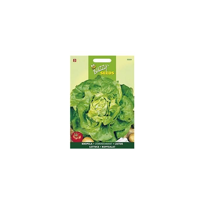 Kropsla Neckarreuzen, Zomerdiamant - Buzzy