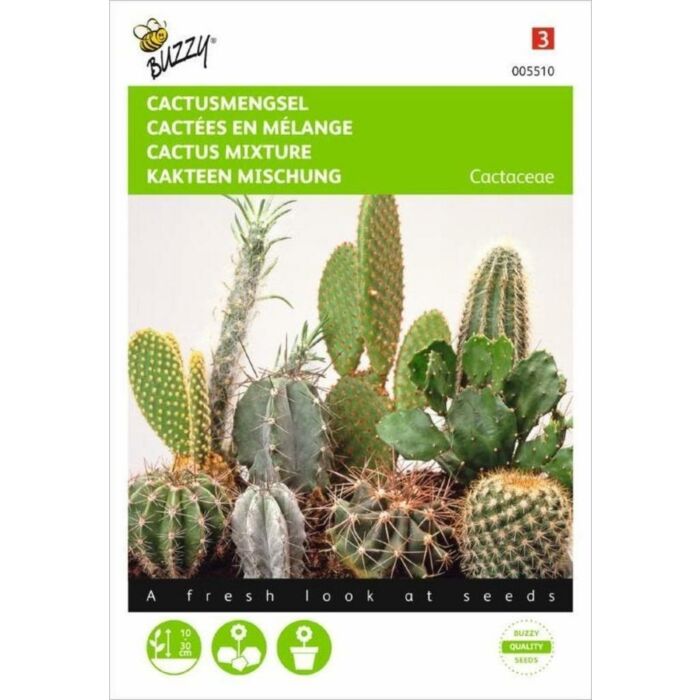 Cactusmengsel Vele soorten - Buzzy Cactusmengsel Vele soorten - Buzzy