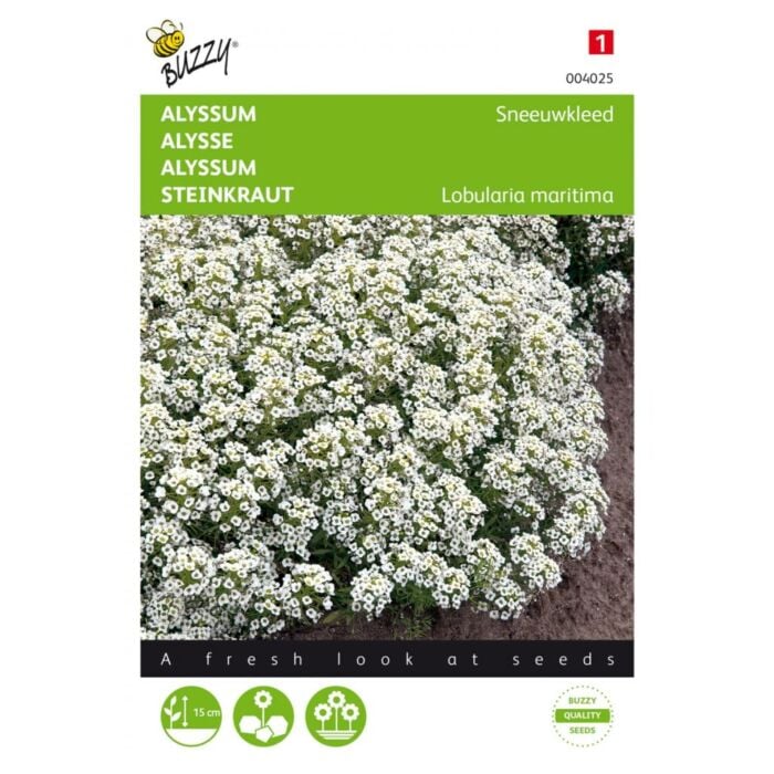 Alyssum Sneeuwkleed - Buzzy