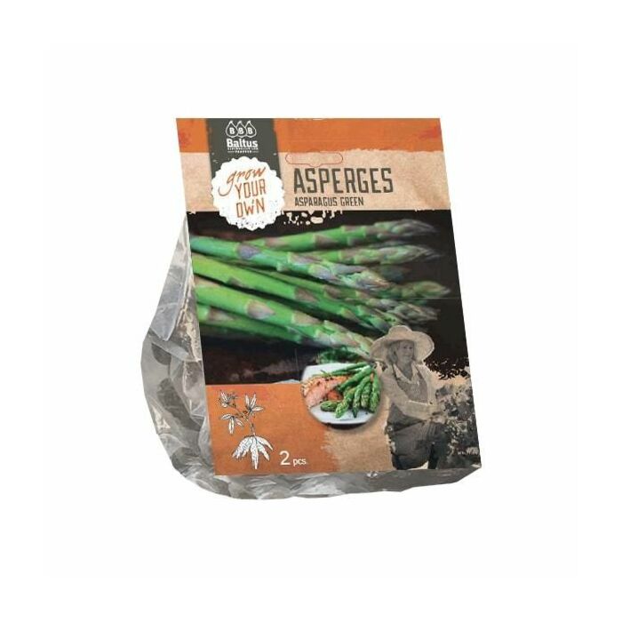 Asparagus Groen per 2