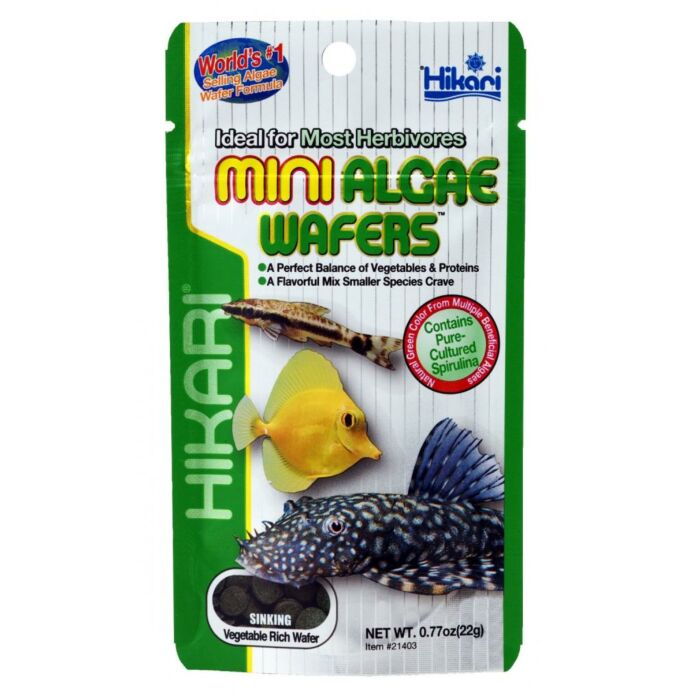 mini algae wafers 22 gram - Hikari mini algae wafers 22 gram - Hikari