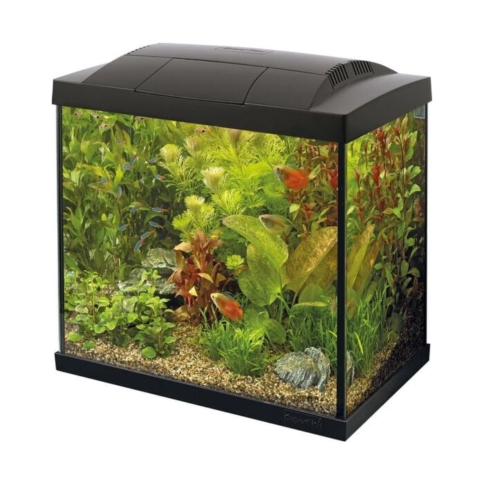 Start 30 Tropical Kit zwart