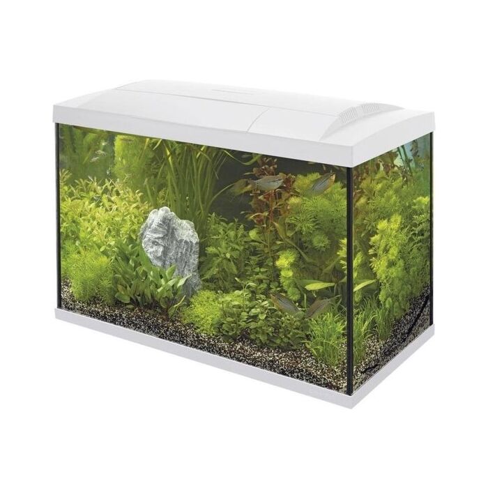 Start 70 Tropical Kit wit