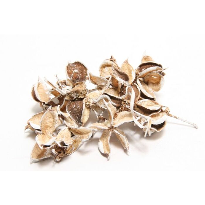 Katoen pods 150g wit-wash