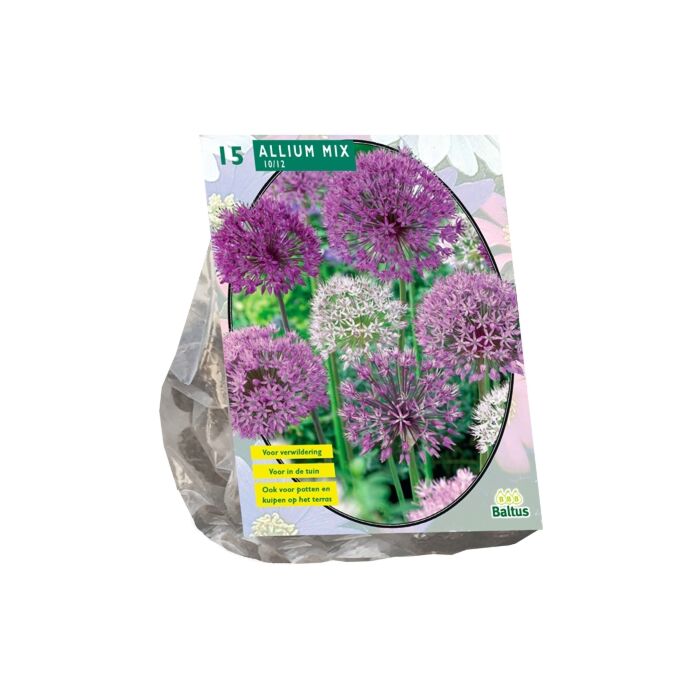 Allium Mix Paars-Wit per 15 Allium Mix Paars-Wit per 15