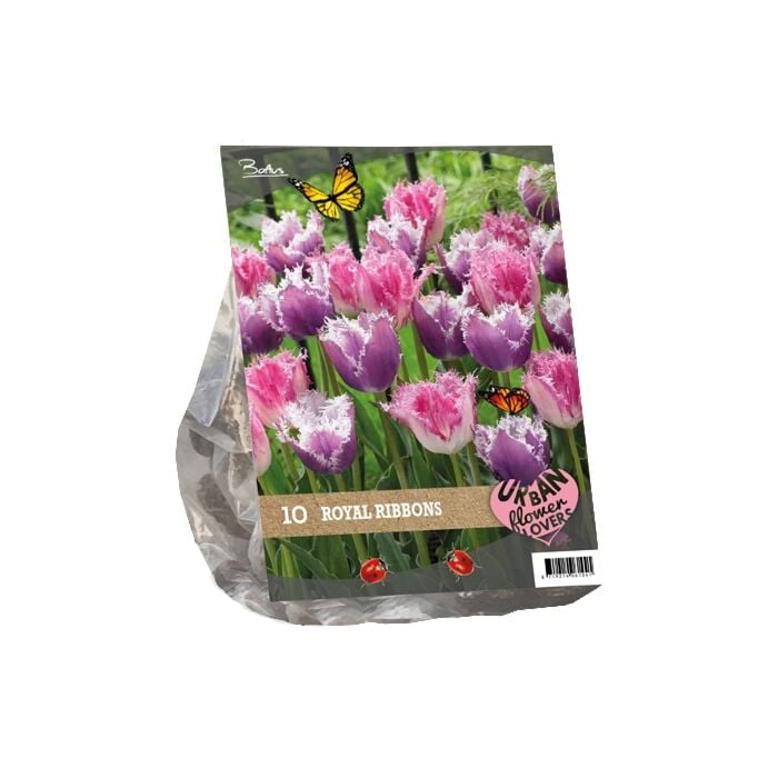 Urban Flowers - Royal Ribbons per 10 Urban Flowers - Royal Ribbons per 10