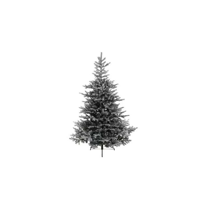 Kerstboom Grandis fir snowy 240 cm - Everlands
