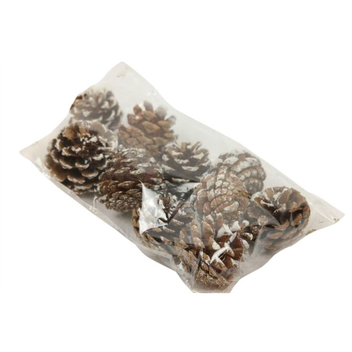 Pinecone Silvester natural 200 gram - HBX Natural Living