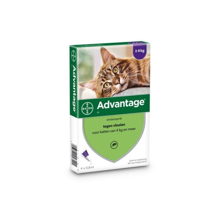 Advantage Kat 80 4pip Advantage Kat 80 4pip