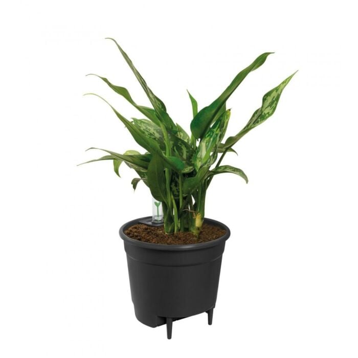 Elho Self-watering Insert Living Black L 42.8 cm