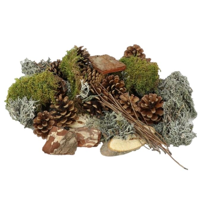 Basic Forrest Mix Large - HBX Natural Living Basic Forrest Mix Large - HBX Natural Living