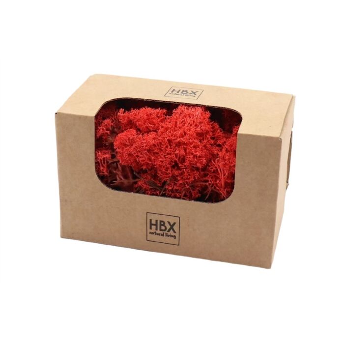 Basic Reindeer Moss 50 gr