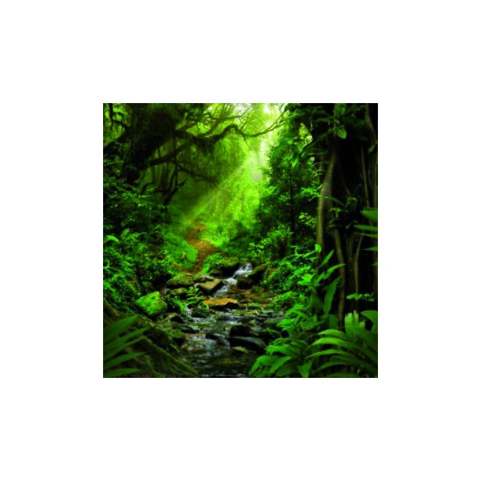 Buitencanvas jungle h58b58cm