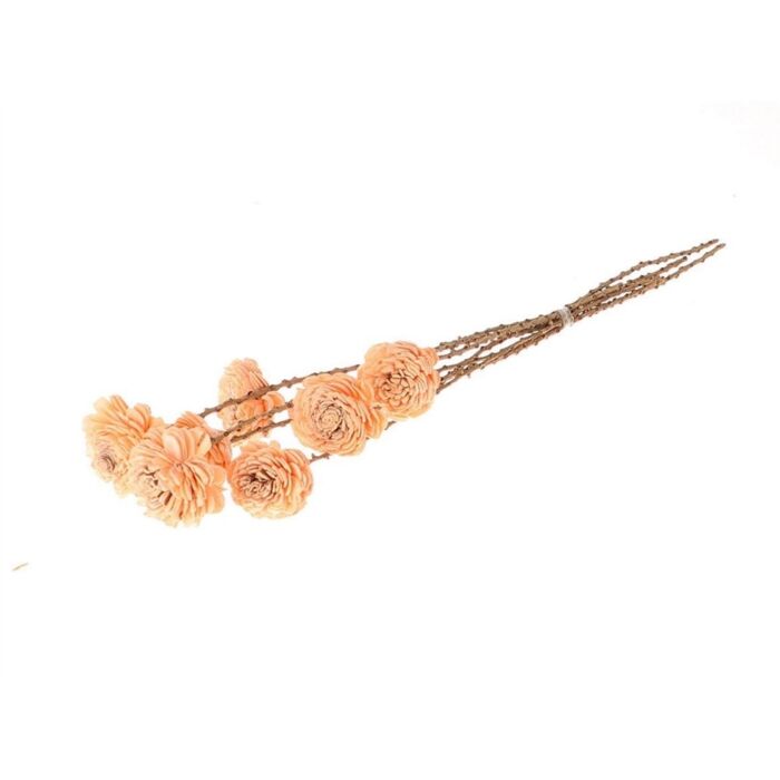 Bunch Shola Ranunculu salmon 60 cm - HBX natural living Bunch Shola Ranunculu salmon 60 cm - HBX natural living