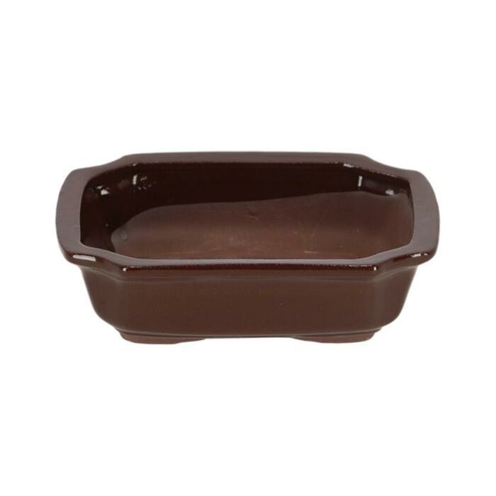 Bonsai pot rechthoekig S