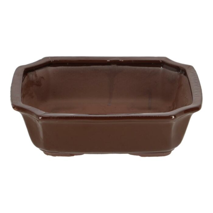 Bonsai pot rechthoekig L Bonsai pot rechthoekig L