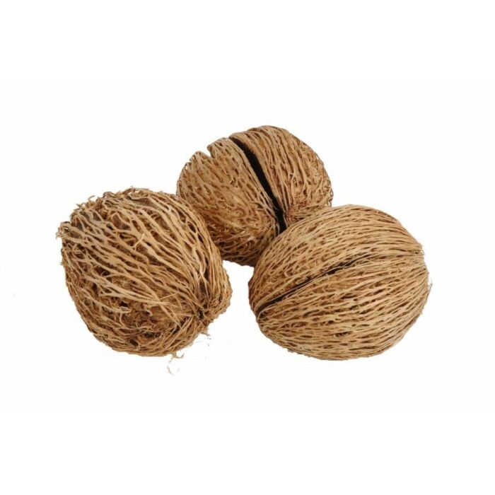 Mintolla naturel