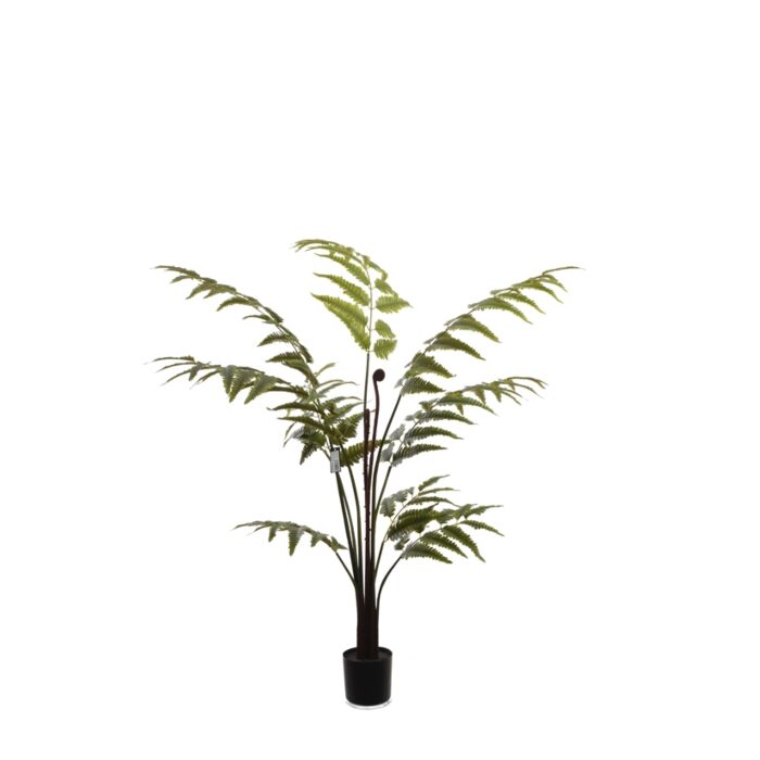Leather Fern Tree W/129 Lvs Green Leather Fern Tree W/129 Lvs Green