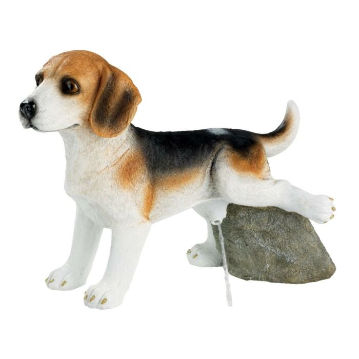 Fontein hond