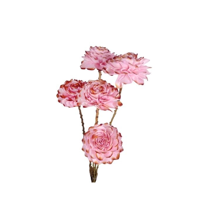Bunch Shola Dahlia roze 8 cm - HBX Natural Living Bunch Shola Dahlia roze 8 cm - HBX Natural Living