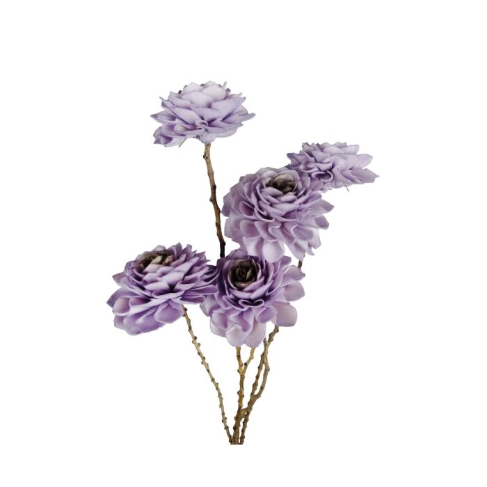 Bunch Shola Dahlia roze 8 cm - HBX Natural Living Bunch Shola Dahlia roze 8 cm - HBX Natural Living