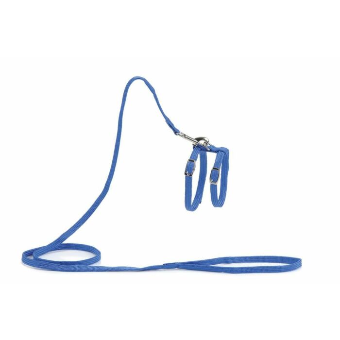 Kattentuigje blauw - Beeztees Kattentuigje blauw - Beeztees