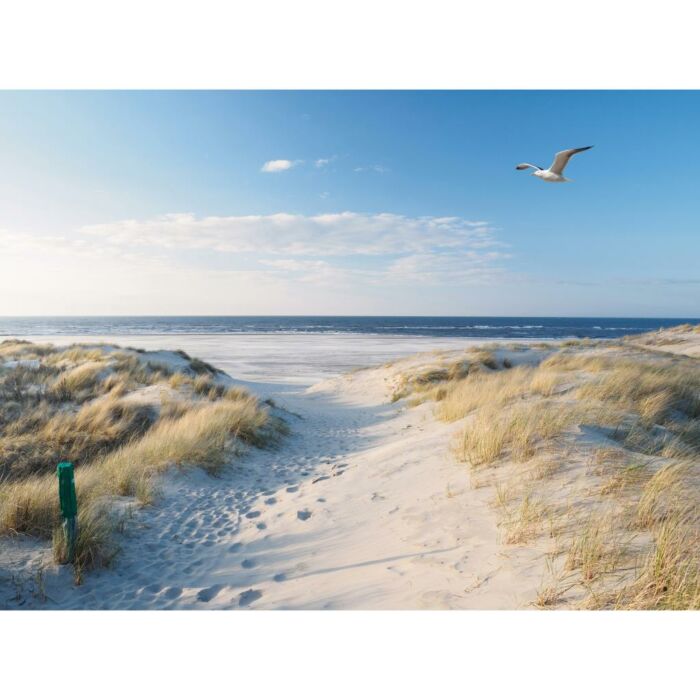 Buitencanvas strand zeemeeuw L 58 cm