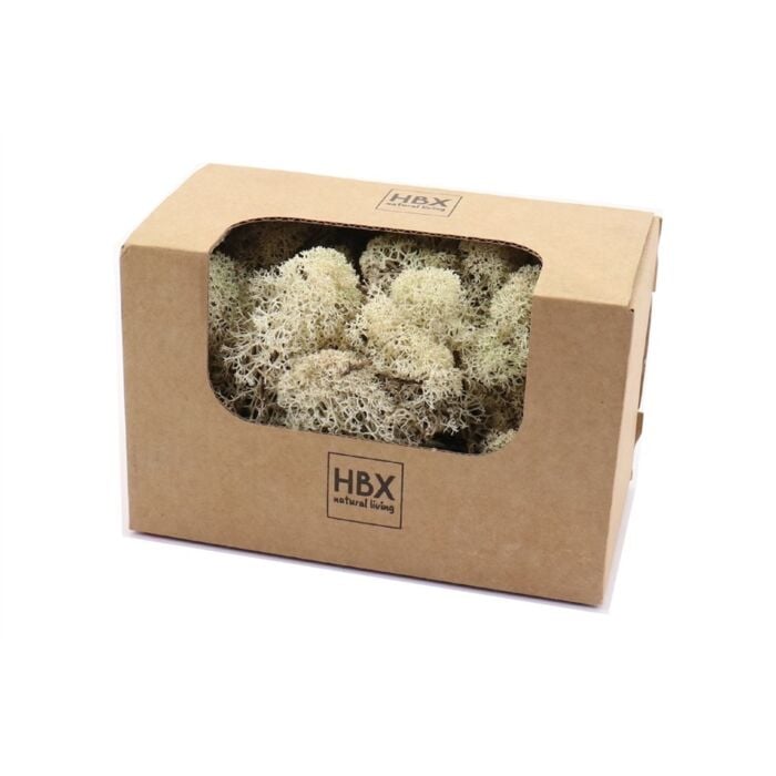 Basic Reindeer Moss 50 gr