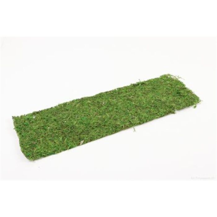 Sheet Asia Moss L58.0W18.0