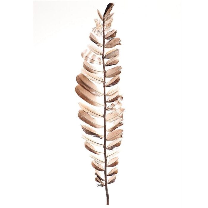 Stem feather Aparani 100 cm - HBX