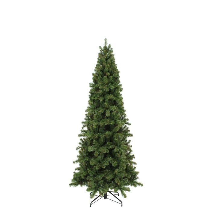 Pencil pine kerstboom groen 185 cm - Triumph Tree Pencil pine kerstboom groen 185 cm - Triumph Tree