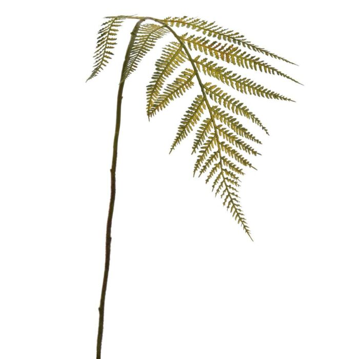 Varen tak groen L 81 cm