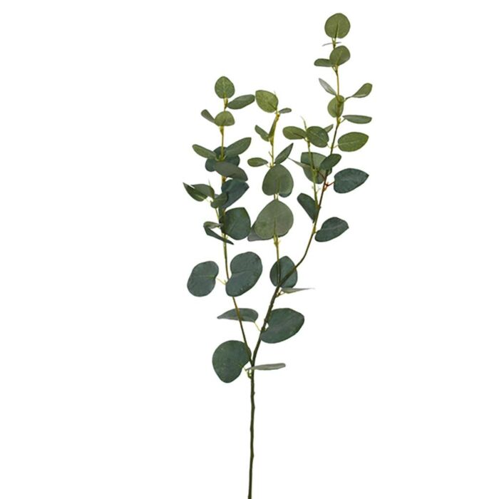 Eucalyptus medium grijs 75 cm