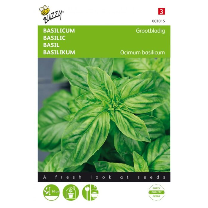 Basilicum Grootbladig - Buzzy Basilicum Grootbladig - Buzzy