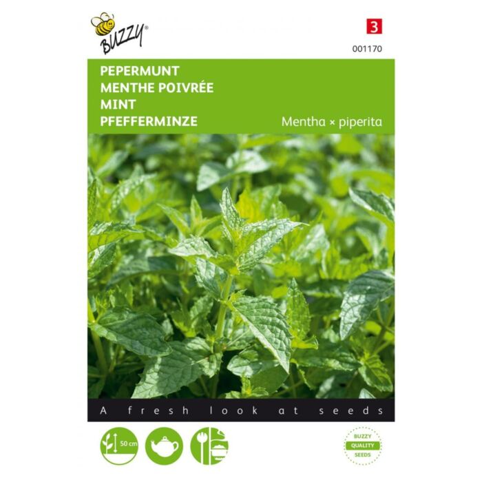 Pepermunt - Buzzy Pepermunt - Buzzy