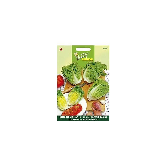 Romeinse mini Sla Little Gem - Buzzy Romeinse mini Sla Little Gem - Buzzy