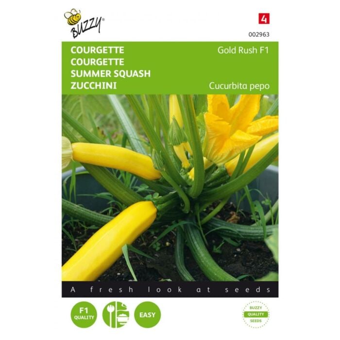 Courgette Gold Rush F1 - Buzzy