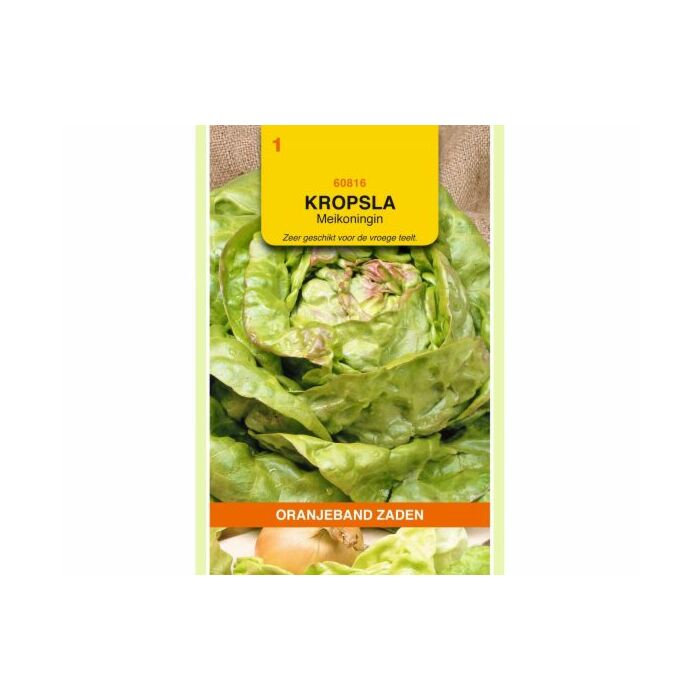 Kropsla meikoningin 3g Kropsla meikoningin 3g