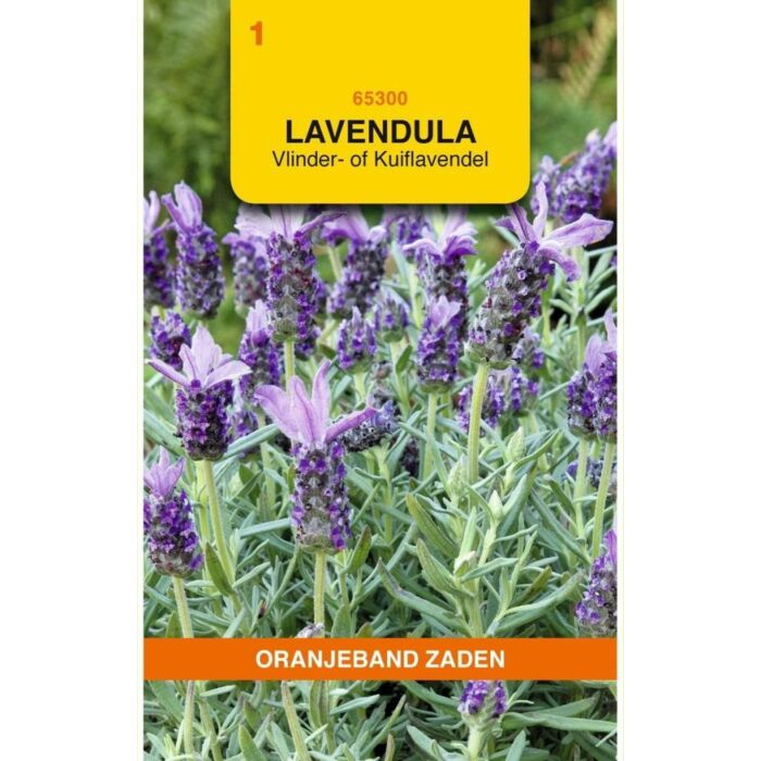 Lavendel stoechas sancho panza 0.1g