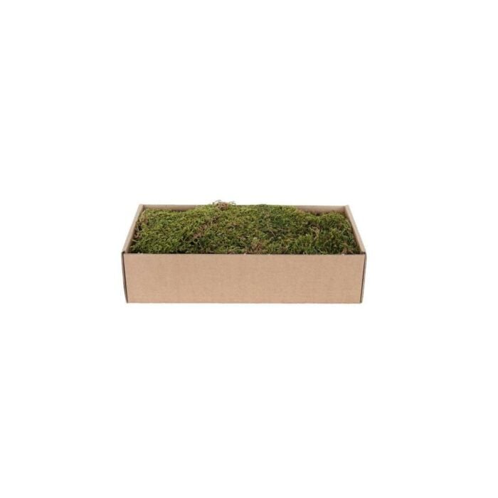 Platmos Groen-Bruin 500 gram - My Village